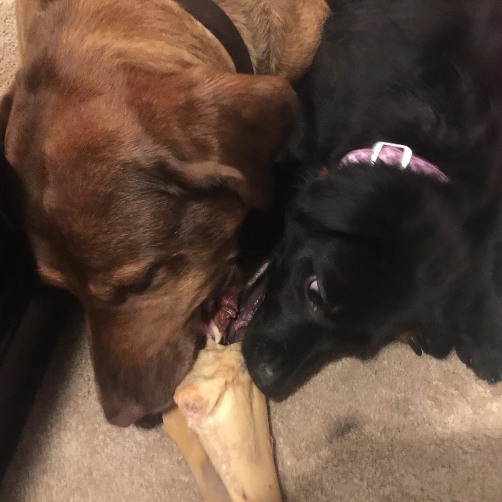 Meet your Posher, Michele